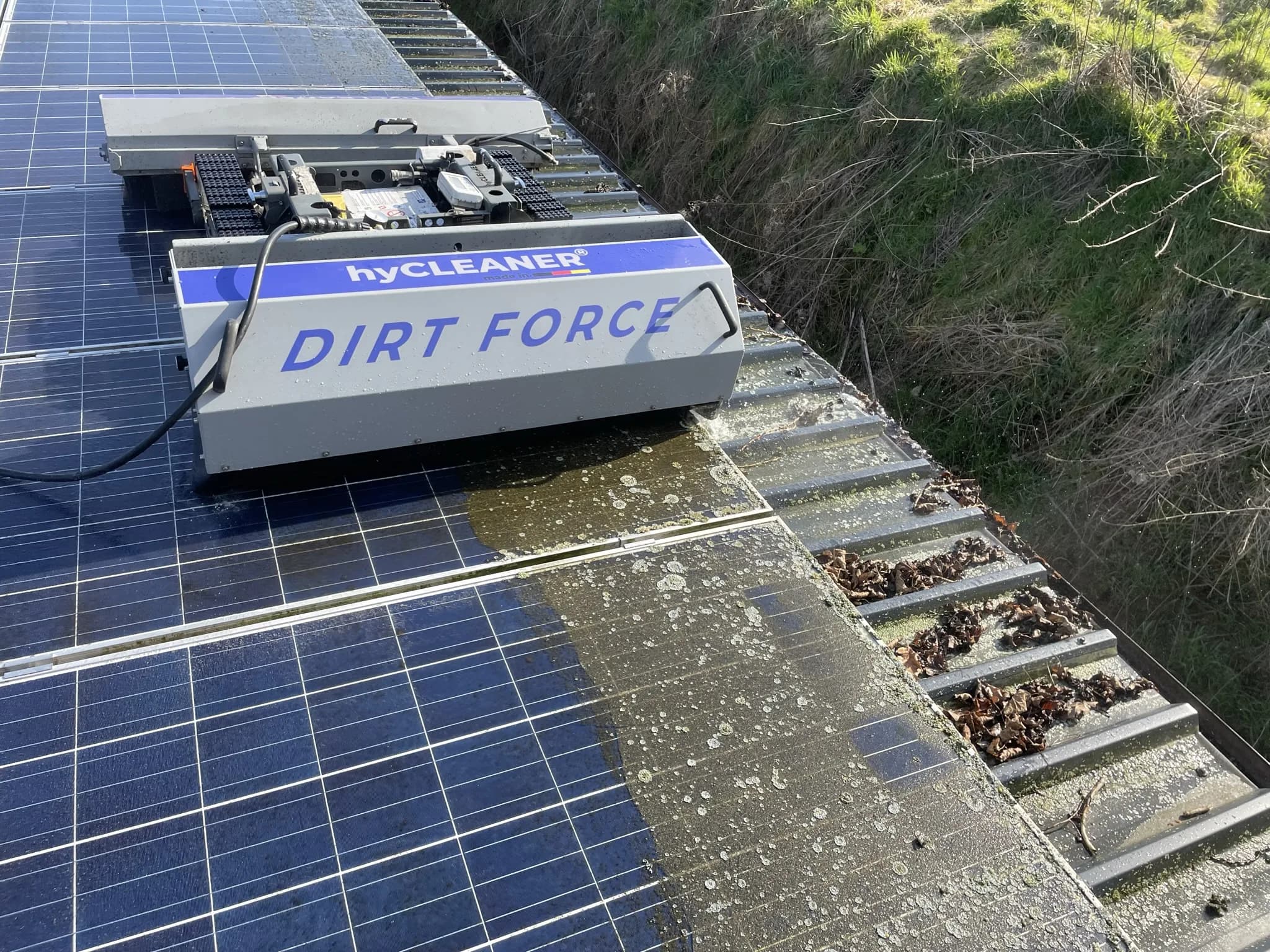 Vorher-nachher Vergleich einer Flechtenreinigung