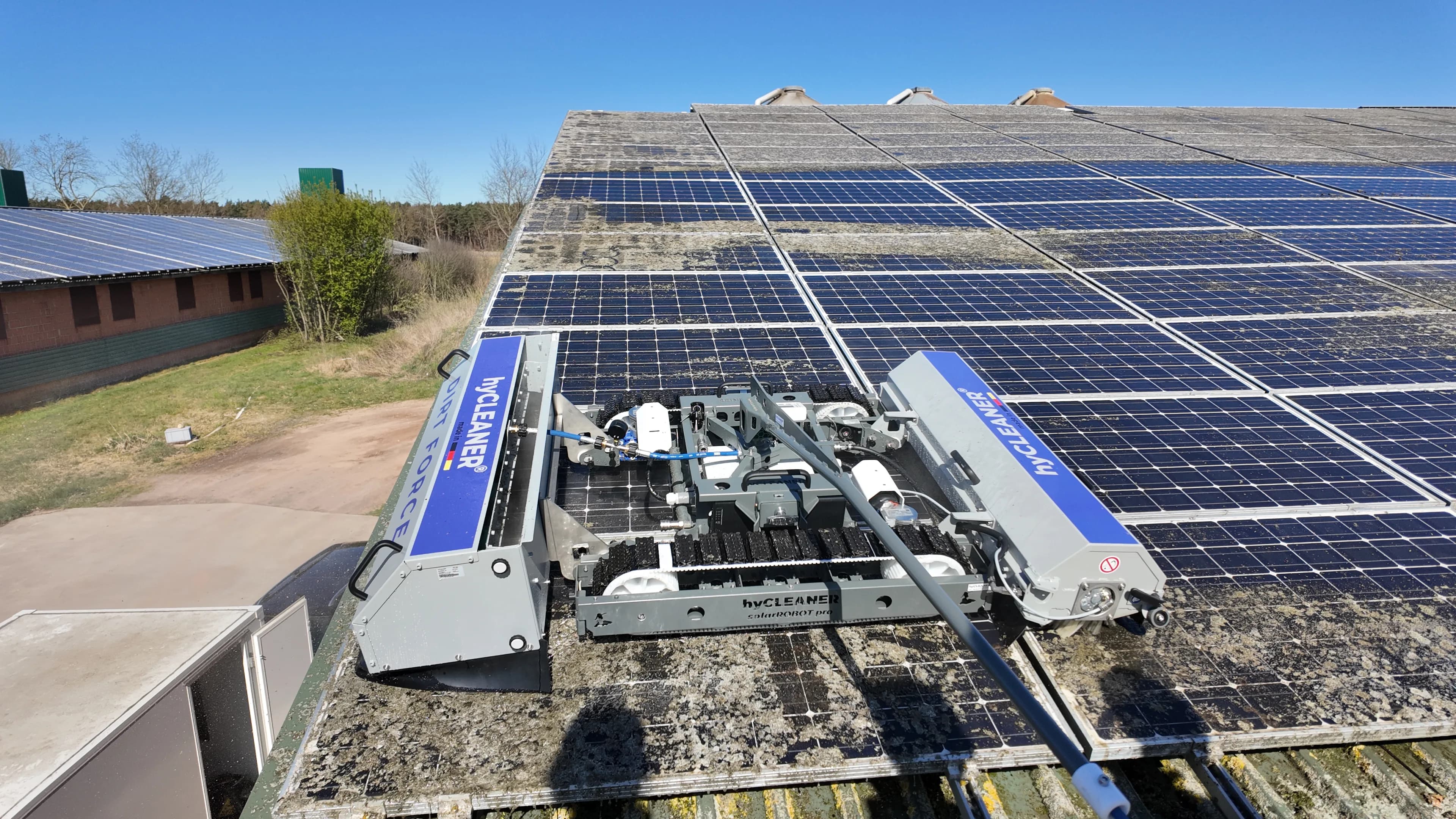 Fachgerechte Flechtenentfernung auf Photovoltaikmodulen